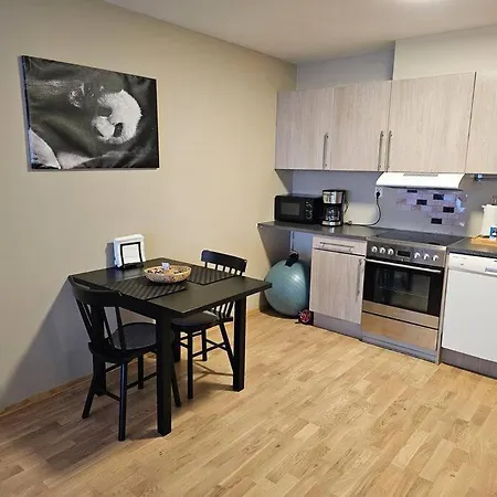 King Size Bed Plus 4beds Free Parking Indoors Apartmán Lorenskog